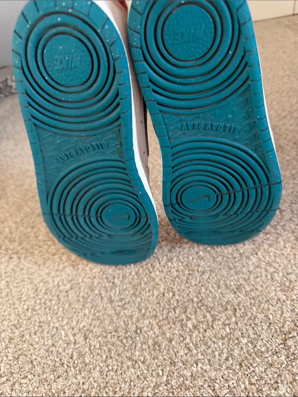Nike Kids White and Teal Low-Top Sneakers